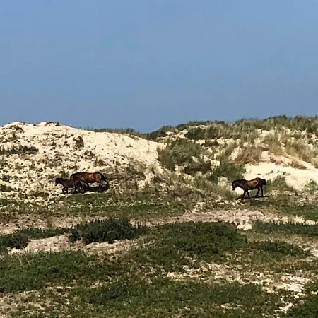 Luxus Duenenhaeuschen Mit Wellnesszugang Feriehus