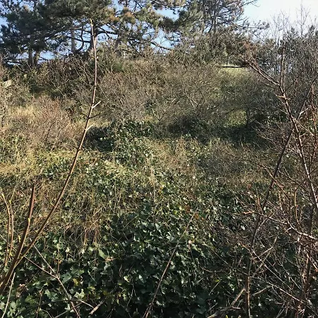 Luxus Duenenhaeuschen Mit Wellnesszugang Σπίτι διακοπών