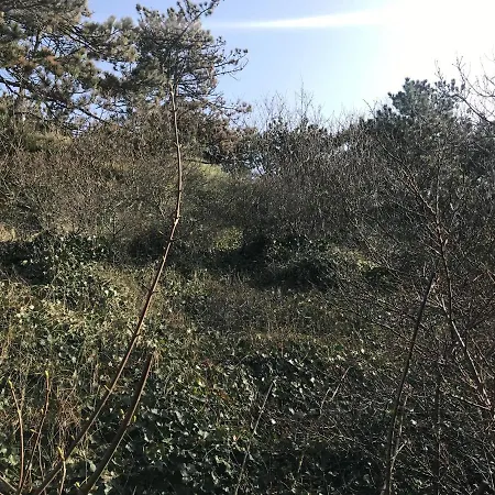 Feriehus Luxus Duenenhaeuschen Mit Wellnesszugang *