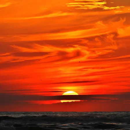 Luxus Duenenhaeuschen Mit Wellnesszugang