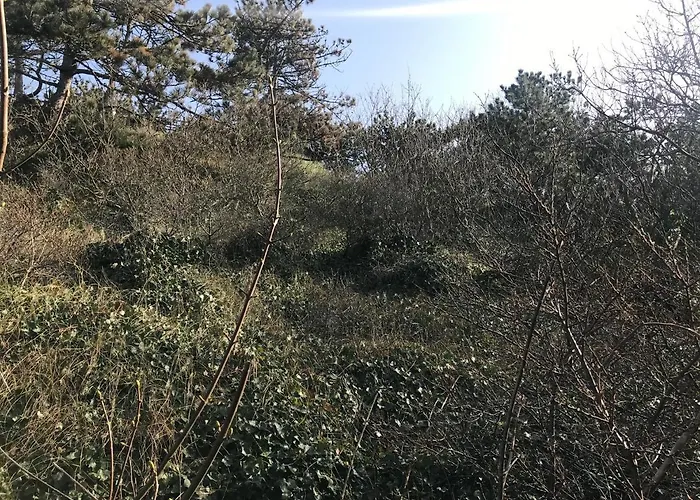 Holiday home Luxus Duenenhaeuschen Mit Wellnesszugang *