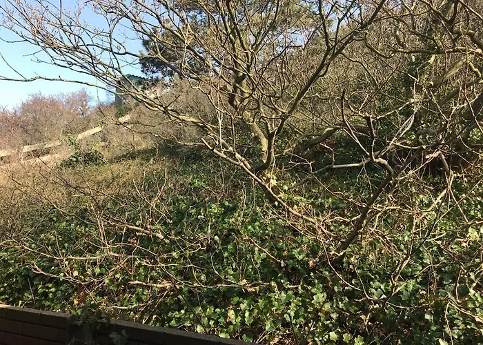 Holiday home Luxus Duenenhaeuschen Mit Wellnesszugang Egmond aan Zee