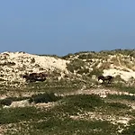 Luxus Duenenhaeuschen Mit Wellnesszugang Semesterbostad