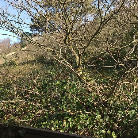 Casa vacanze Luxus Duenenhaeuschen Mit Wellnesszugang Egmond aan Zee