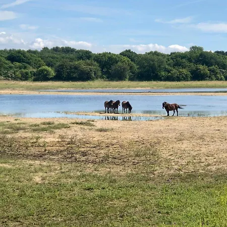 Luxus Duenenhaeuschen Mit Wellnesszugang * Egmond aan Zee