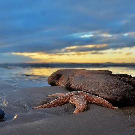 Casa vacanze Luxus Duenenhaeuschen Mit Wellnesszugang